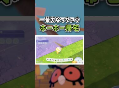 超高所から滑空するホーホーが健気でかわいい【ぽこ あ ポケモン】#shorts