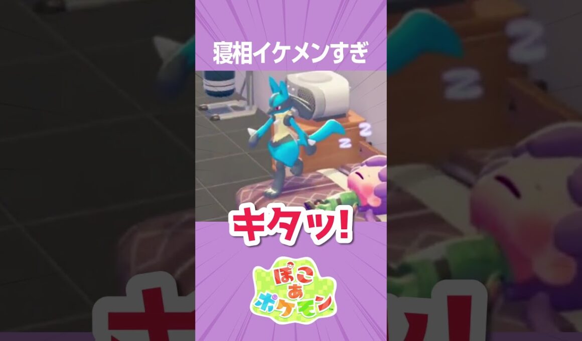 添い寝のレベルが高すぎるルカリオさん【ぽこ あ ポケモン】