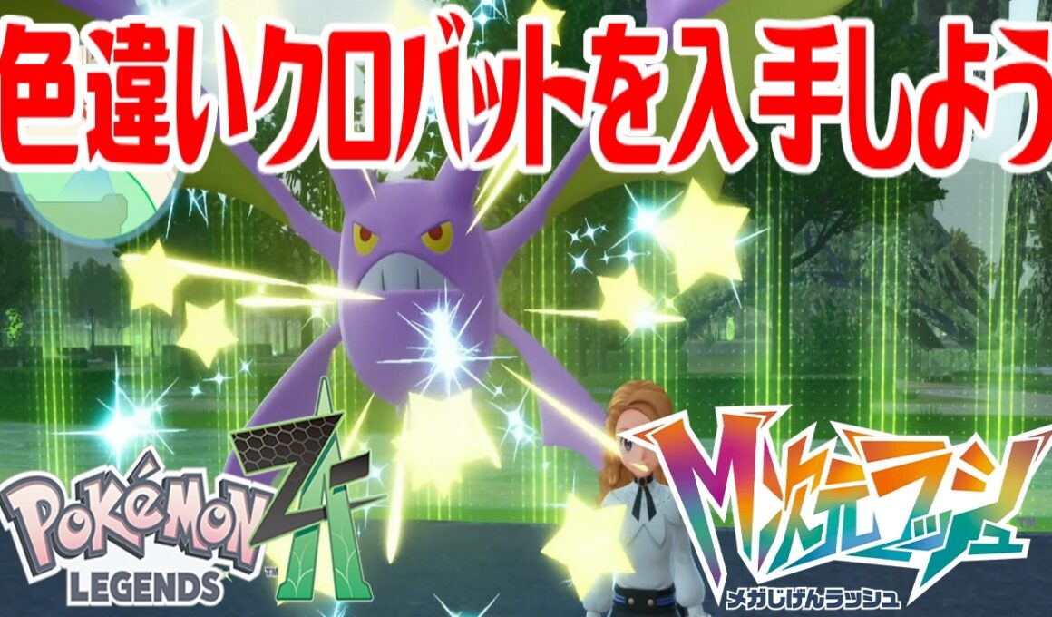 【ポケモンZ-A】色違いクロバットを入手しよう 進化入手【Pokémon LEGENDS Z-A M次元ラッシュ】