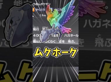 アーマーガアとムクホークとピジョットの違い