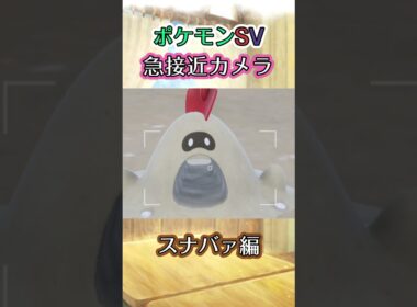 【ポケモンSV】スナバァの深淵に潜り込んでみた動画 #ポケモン #ポケモンsv #スナバァ #shorts