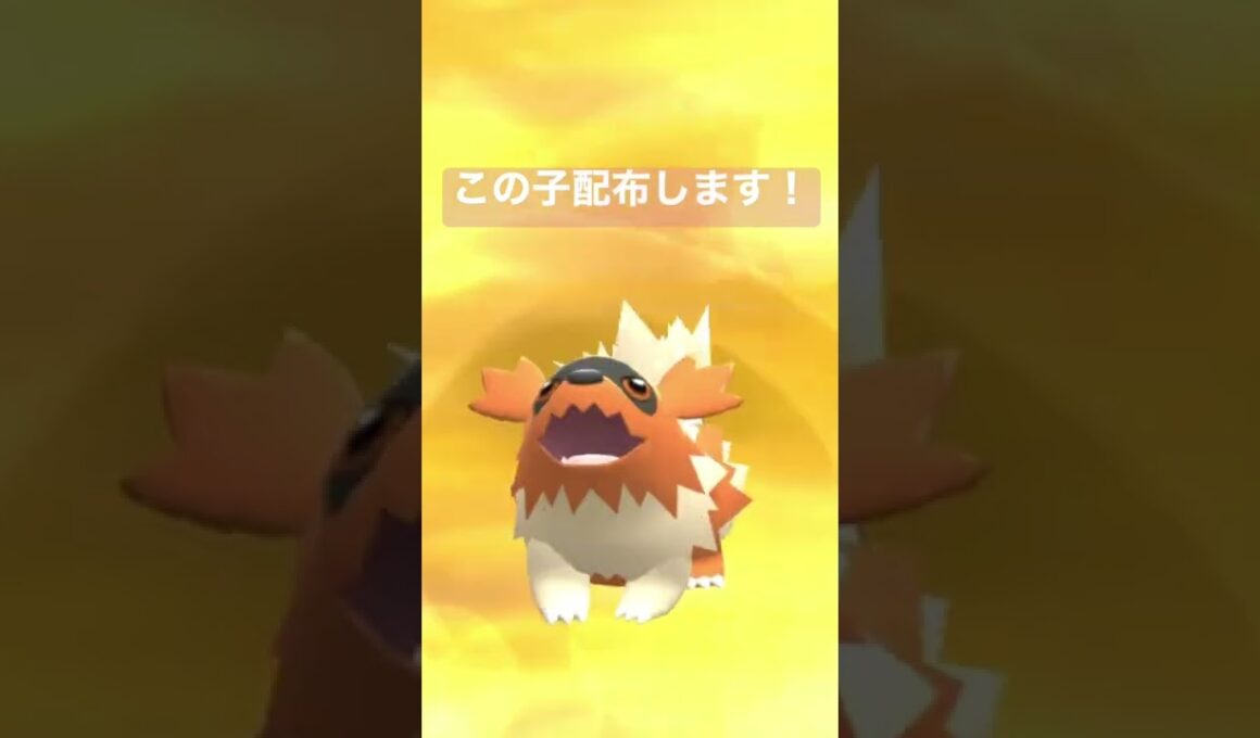 育成済みマッスグマプレゼントします！チャンネル登録して待ってて下さい👍#ダイパリメイク ＃ポケモン配布