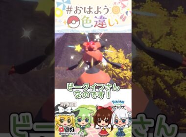 ☀️おはようしれい！色違いビークイン🐝✨2026年8月3日 #おはよう色違い #おは色 #ポケモン
