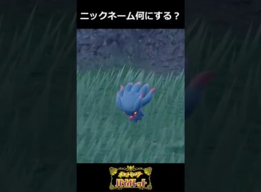 ポケモンのニックネーム何にする？　ムウマ編　#ゲーム実況  #ポケモン #ポケモンsv