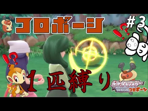 『最弱が最強になるまでの物語』コロボーシ１匹縛りで殿堂入りを目指すポケモンBDSP＃３【ゆっくり実況】