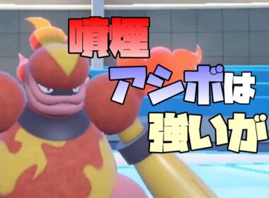 【ポケモンSV実況】ブーバーン君SVで「アシッドボム」を新規習得したおかげで技はまともになったが【シングル対戦】