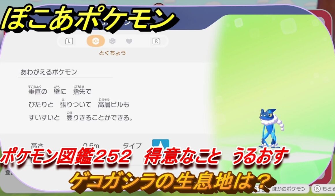 ぽこあポケモン　ゲコガシラの生息地は？　ポケモン図鑑２５２　得意なこと　うるおす　＃９９６　【ぽこポケ】