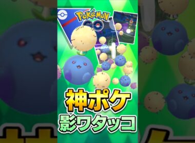 神ポケ継続!! （@ シャドウワタッコ）【スーパーリーグ】【ポケモンGO】【GOバトルリーグ】