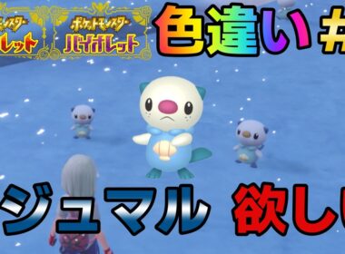 【ポケモンSV】色違いミジュマルが欲しい#1【ポケットモンスタースカーレット・バイオレット】