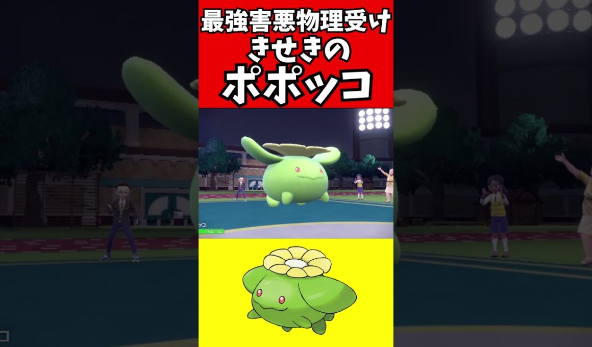 【ポケモン解説】最強物理受けポッポコ