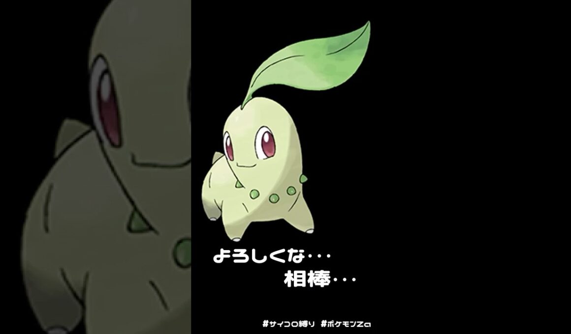 【第1章】運命のサイコロが選んだのはチコリータだった。【ポケモンZa / サイコロ縛り】