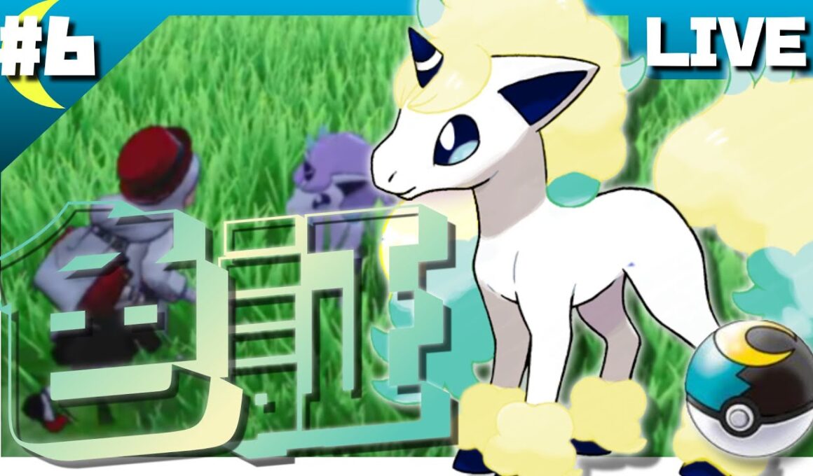 【ポケモン剣盾】ムンボ入り色証♀ガラルポニータを求めて＃6【概要必読】