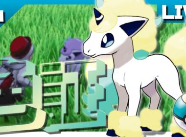 【ポケモン剣盾】ムンボ入り色証♀ガラルポニータを求めて＃6【概要必読】