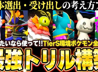 【チームID／育成論公開】メガジュペッタ＆メガメガニウム軸！TierS環境ポケモンを全破壊する最強トリル構築、基本選出の考え方あり。【ポケモンチャンピオンズ ランクマッチ】