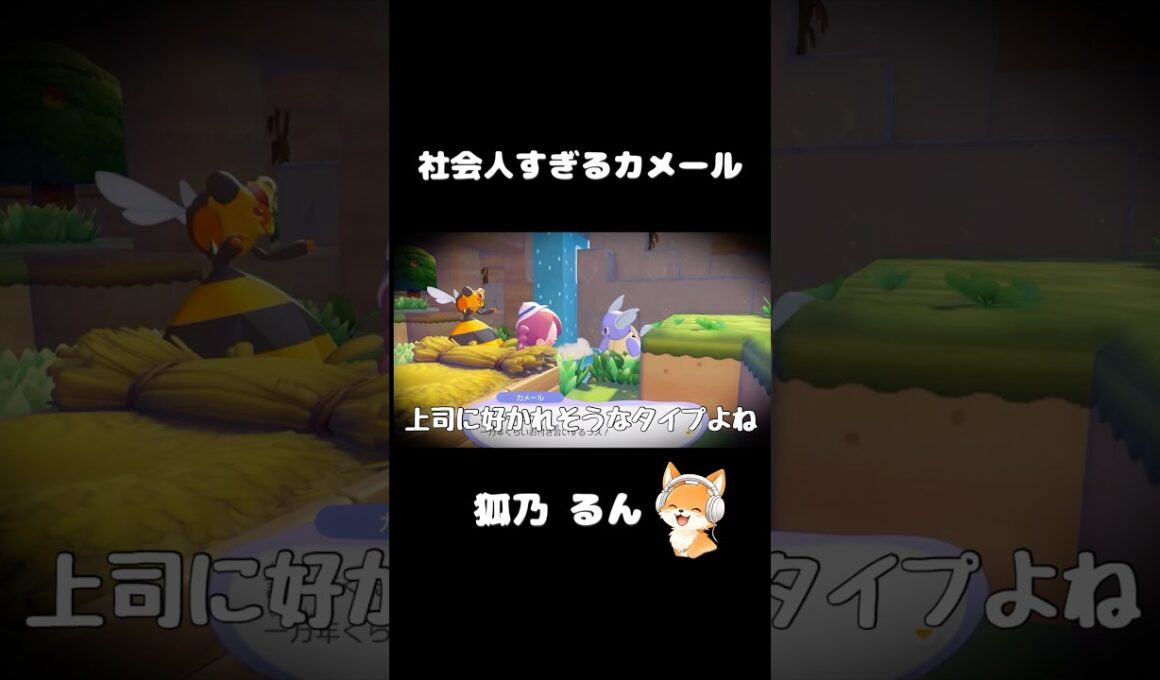 社会人すぎるカメール現るw【ぽこ あ ポケモン】