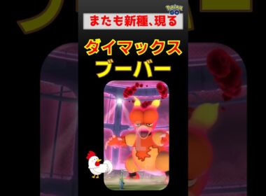 新種登場！【ダイマックス ブーバー】 #ポケモンgo #ポケモン #pokemongo #ダイマックス #ブーバー #インテレオン