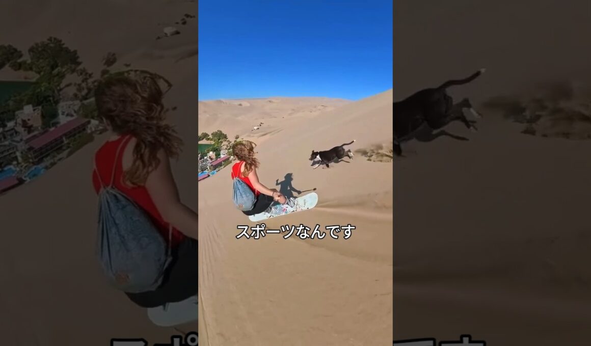 サンドボーディング