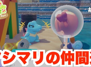 【ぽこあポケモン】アシマリの仲間達を探しにいこう！DLC  part6【ぽこポケ】