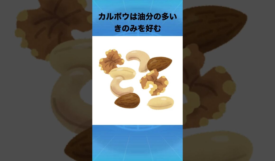 カルボウについて #ポケモン #グレンアルマ #ソウブレイズ