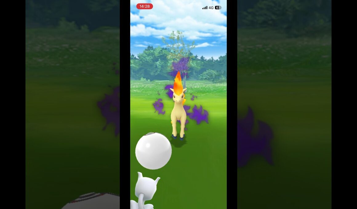 ポケモンgo シャドウポニータゲットチャレンジ　シャドウギャロップ　#pokemongo