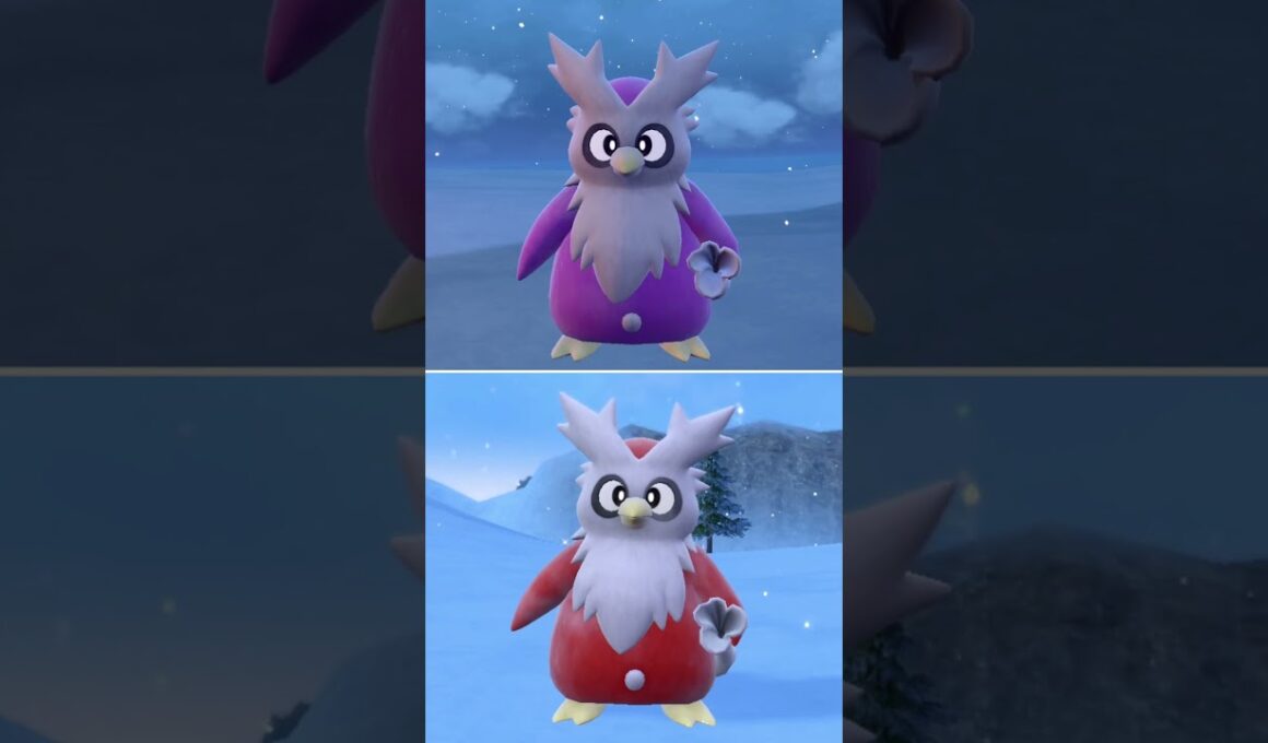 #デリバード  #ポケモン  #delibird  #pokemonscarletandviolet