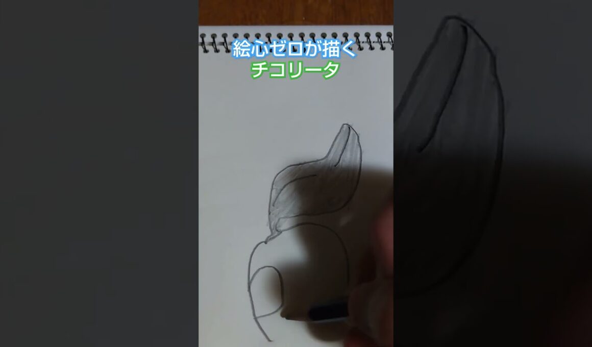 絵心ゼロが描くチコリータwwww  #絵心 #絵心ゼロ #イラスト #pokemon  #ポケモン #チコリータ #描いてみた #art #一発描き #絵 #shorts