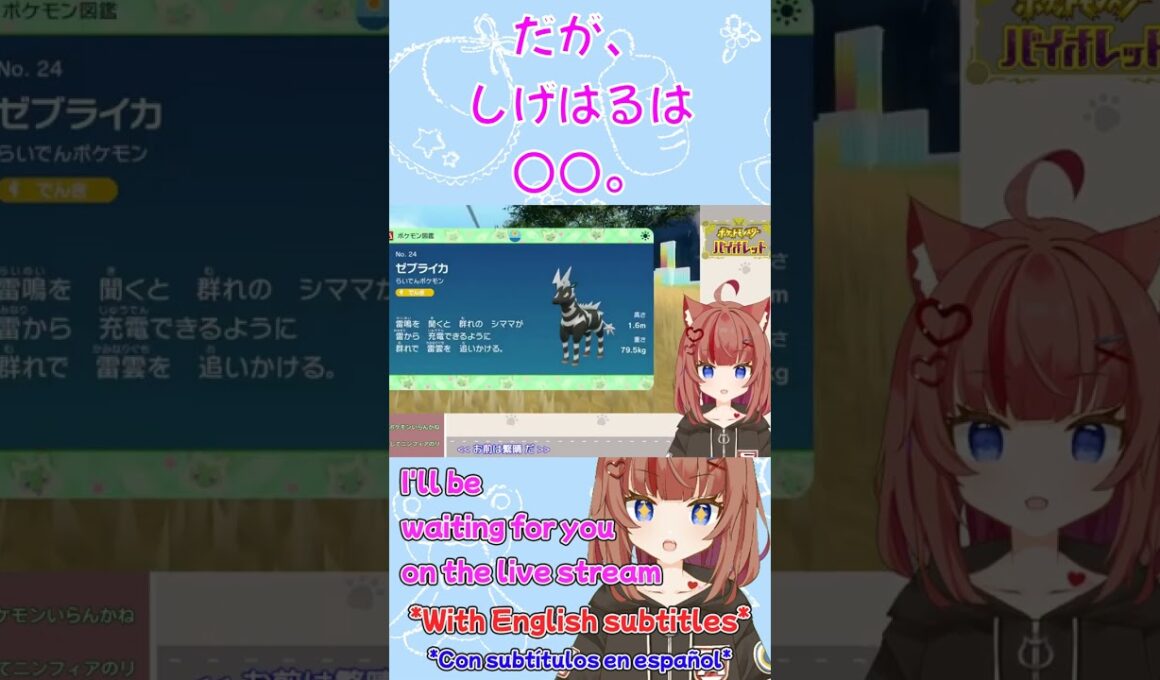 【ポケモンSV】ゼブライカしげはる（♀）との出会い（抜粋）20240127【ポケモンSV DLC】 #shorts #ちかのしょーと