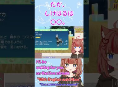 【ポケモンSV】ゼブライカしげはる（♀）との出会い（抜粋）20240127【ポケモンSV DLC】 #shorts #ちかのしょーと