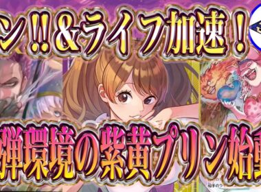 【ワンピースカード】ドン‼︎&ライフ加速！17弾環境の紫黄プリン始動！