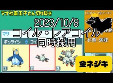 【マサネジキ】コイル・レアコイル同時採用【2023/10/8】