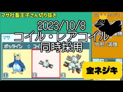 【マサネジキ】コイル・レアコイル同時採用【2023/10/8】
