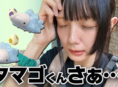 ユキハミの色違い新実装!!なのに・・・説教だ😠！！！！【ポケモンGO】