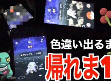 色違いウソッキーグレッグル実装！色違い出るまで帰れま10【ポケモンGO】