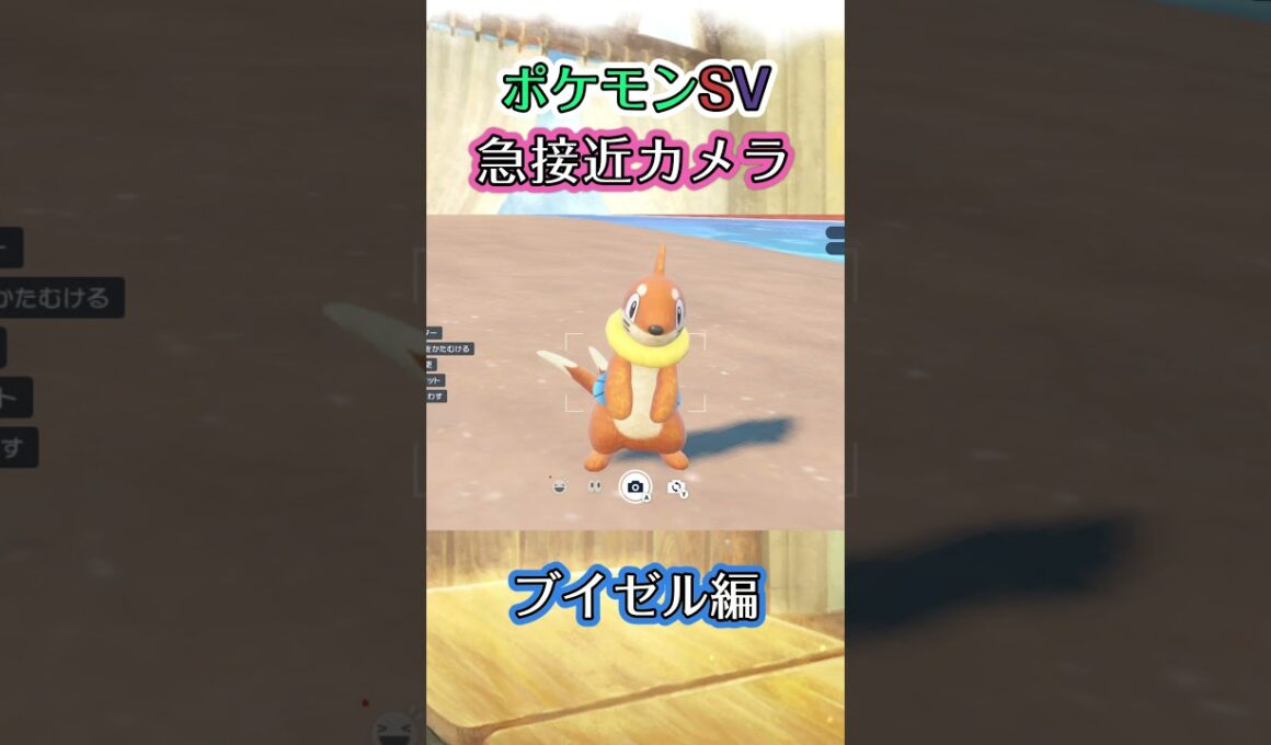 【ポケモンSV】ブイゼルがｸﾈｸﾈと動きながらちょっと優雅に近づいてくるだけの動画 #ポケモン #ポケモンsv #ブイゼル #shorts