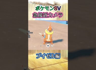 【ポケモンSV】ブイゼルがｸﾈｸﾈと動きながらちょっと優雅に近づいてくるだけの動画 #ポケモン #ポケモンsv #ブイゼル #shorts