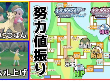 【効率】努力値振り！育成に必要な順序全て解説！ペルシアン金策・経験値稼ぎ【ポケモンBDSP】
