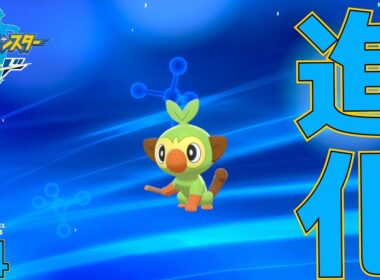 【ポケモン】#4 サルノリの様子が...【ポケモン剣(ソード)】