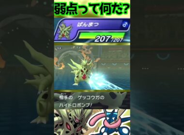 【HAメガバンギラス】これが700族の硬さ#shorts #PokémonChampions #ポケチャン