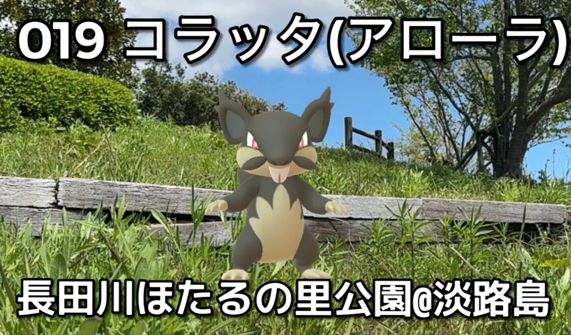 【ポケGO動くポケモンずかん】019コラッタ(アローラ)｜Rattata Alola【ポケモンGO】PoKeMoN GO AR｜AR動画｜GOsnapshot｜PokemonGO