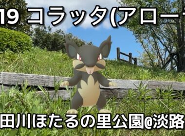 【ポケGO動くポケモンずかん】019コラッタ(アローラ)｜Rattata Alola【ポケモンGO】PoKeMoN GO AR｜AR動画｜GOsnapshot｜PokemonGO