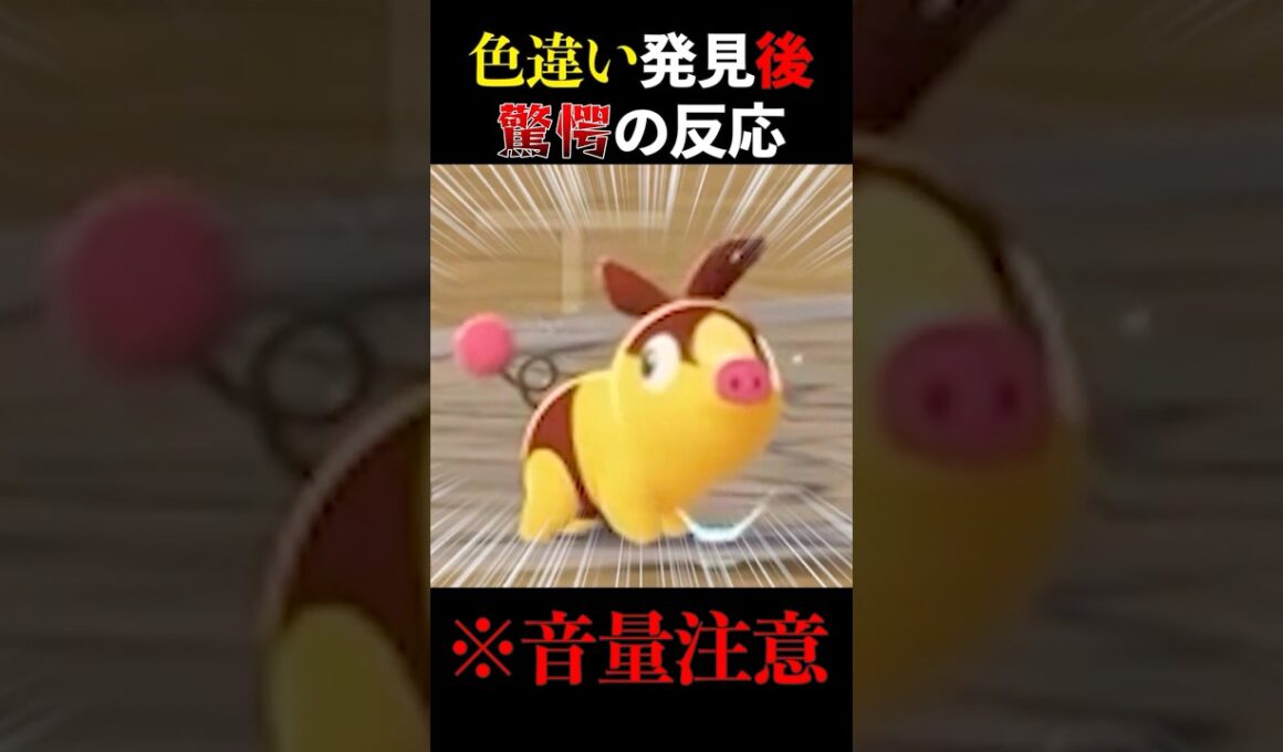 【ポケモンZA】色違いポカブを見つけた実狂者の反応がヤバすぎる