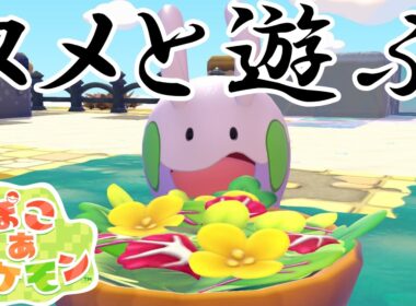 【ぽこ あ ポケモン】ぽこあポケモンでヌメラと遊びまくる！【Switch2】【ポケモン】#16