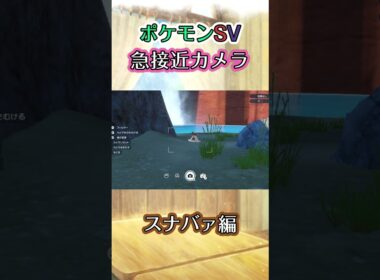 【ポケモンSV】スナバァが日陰を移動しているだけの動画 #ポケモン #ポケモンsv #スナバァ #shorts