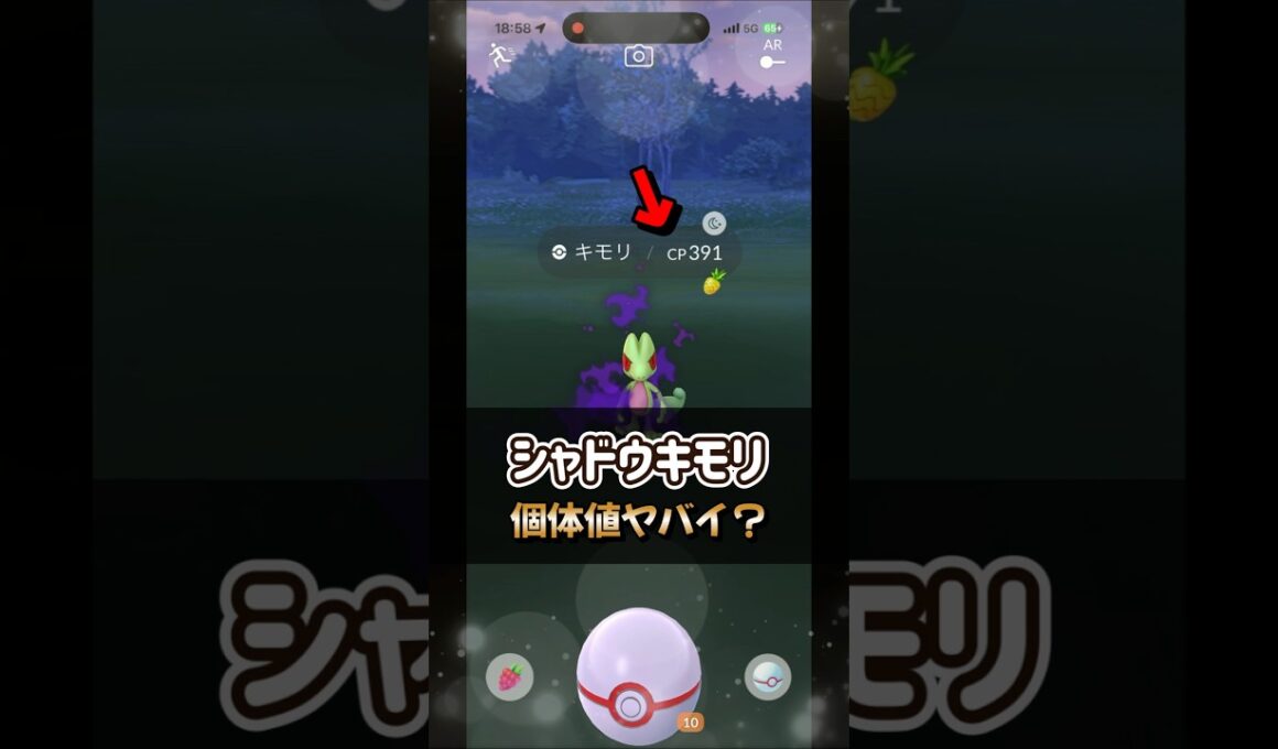 【ポケモンGO】ヤバすぎる個体値のシャドウキモリのゲットチャレンジとシャドウジュカインまで進化させてみた！ #ポケモンgo #ポケモン #Shorts