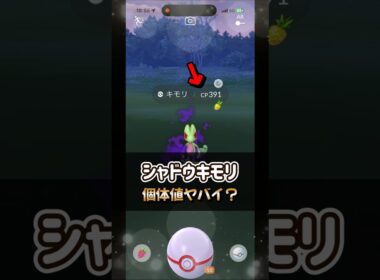 【ポケモンGO】ヤバすぎる個体値のシャドウキモリのゲットチャレンジとシャドウジュカインまで進化させてみた！ #ポケモンgo #ポケモン #Shorts