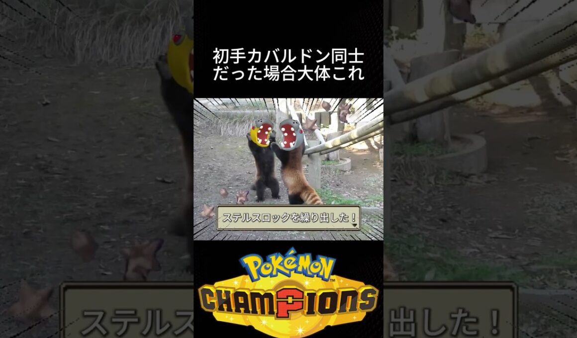 初手カバルドン同士あるある #ポケモン #チャンピオンズ #環境