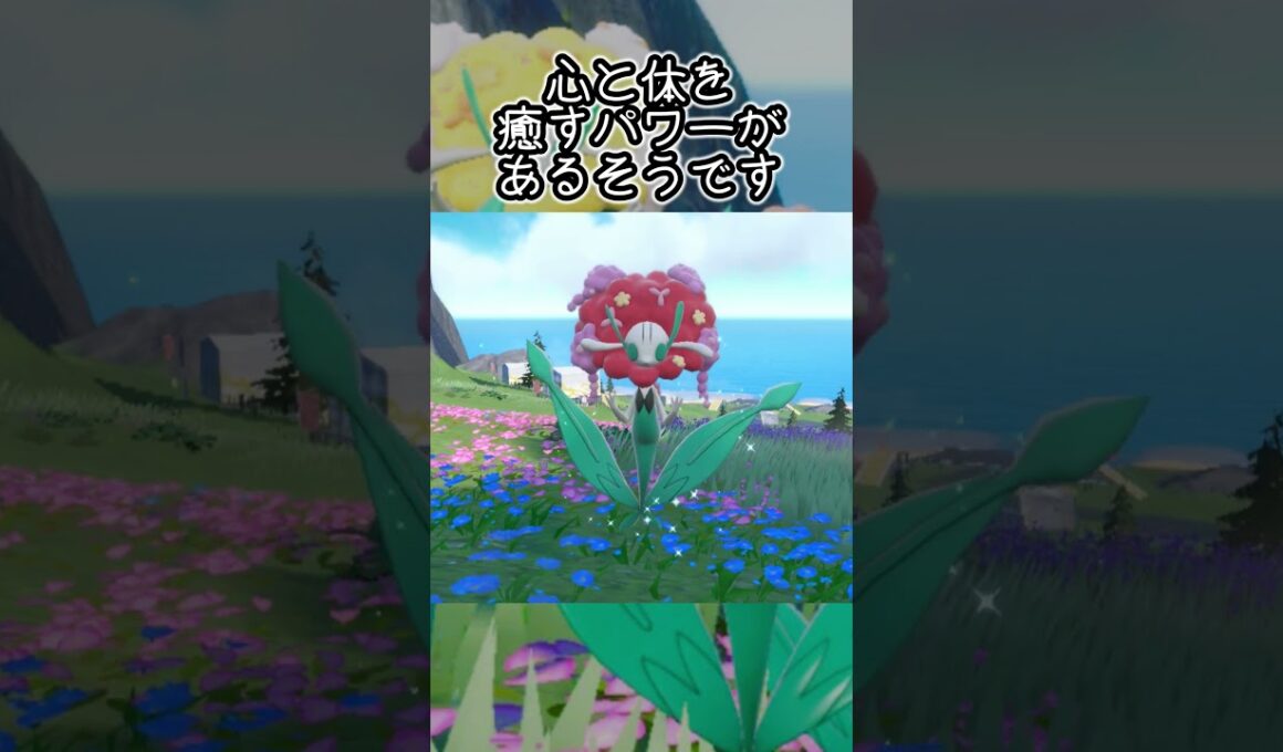 【疲れた人向け】フラージェス6匹とピクニック【ポケモンSV】#Shorts
