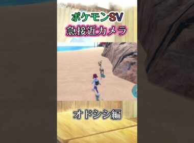 【ポケモンSV】オドシシを追い駆ける続けるだけの動画 #ポケモン #ポケモンsv #オドシシ #shorts