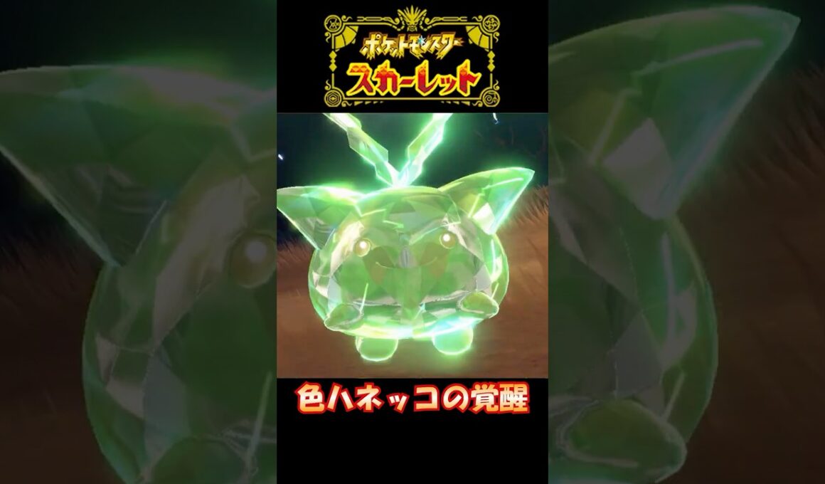 【ポケモンスカーレット】色ハネッコの覚醒