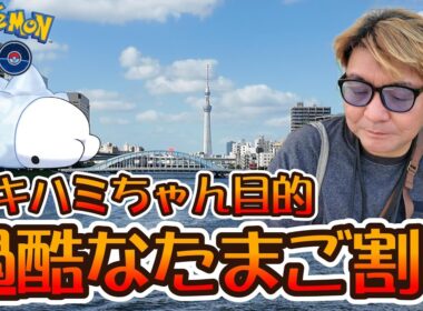 ユキハミちゃん目的で過酷なたまご割り♪　夏の遠足：凍てつく残火♪【ポケモンGO】